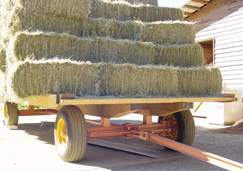 Wagon Loaded