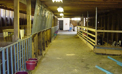 Calf Pen Doors Clean out
